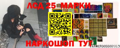 Альфа ПВП Можга