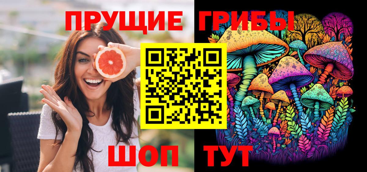 Галлюциногенные грибы Psilocybine cubensis  Вход с VPN  Фролово 